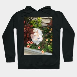 Sky of the flowers Hoodie